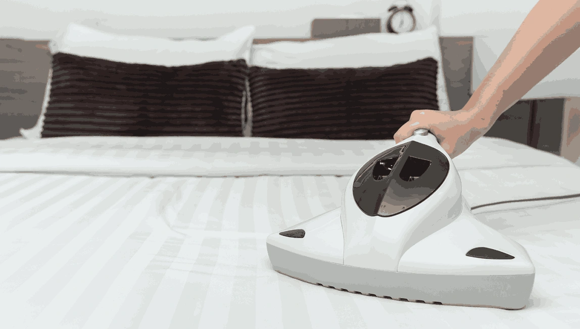 Professional Mattress Cleaning Norlane
